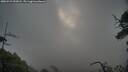 ./images/calvert/fitz-hugh-hecate/20250529/fitz-hugh-hecate20250529_055008M.jpg