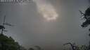 ./images/calvert/fitz-hugh-hecate/20250529/fitz-hugh-hecate20250529_055508M.jpg