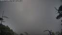 ./images/calvert/fitz-hugh-hecate/20250529/fitz-hugh-hecate20250529_060010M.jpg