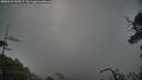 ./images/calvert/fitz-hugh-hecate/20250529/fitz-hugh-hecate20250529_060509M.jpg