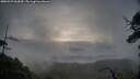 ./images/calvert/fitz-hugh-hecate/20250529/fitz-hugh-hecate20250529_062010M.jpg