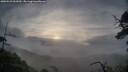 ./images/calvert/fitz-hugh-hecate/20250529/fitz-hugh-hecate20250529_062510M.jpg