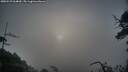 ./images/calvert/fitz-hugh-hecate/20250529/fitz-hugh-hecate20250529_064010M.jpg