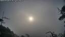 ./images/calvert/fitz-hugh-hecate/20250529/fitz-hugh-hecate20250529_064507M.jpg