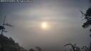 ./images/calvert/fitz-hugh-hecate/20250529/fitz-hugh-hecate20250529_065010M.jpg