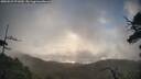 ./images/calvert/fitz-hugh-hecate/20250529/fitz-hugh-hecate20250529_071010M.jpg