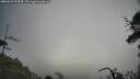 ./images/calvert/fitz-hugh-hecate/20250529/fitz-hugh-hecate20250529_075509M.jpg