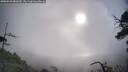 ./images/calvert/fitz-hugh-hecate/20250529/fitz-hugh-hecate20250529_082010M.jpg