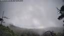 ./images/calvert/fitz-hugh-hecate/20250529/fitz-hugh-hecate20250529_082510M.jpg