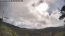 ./images/calvert/fitz-hugh-hecate/20250529/fitz-hugh-hecate20250529_084009M.jpg