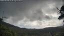 ./images/calvert/fitz-hugh-hecate/20250529/fitz-hugh-hecate20250529_090509M.jpg