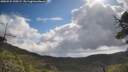 ./images/calvert/fitz-hugh-hecate/20250529/fitz-hugh-hecate20250529_100509M.jpg