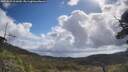 ./images/calvert/fitz-hugh-hecate/20250529/fitz-hugh-hecate20250529_101009M.jpg