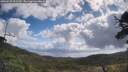 ./images/calvert/fitz-hugh-hecate/20250529/fitz-hugh-hecate20250529_101510M.jpg