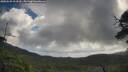./images/calvert/fitz-hugh-hecate/20250529/fitz-hugh-hecate20250529_103509M.jpg