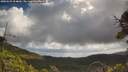 ./images/calvert/fitz-hugh-hecate/20250529/fitz-hugh-hecate20250529_104010M.jpg