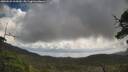 ./images/calvert/fitz-hugh-hecate/20250529/fitz-hugh-hecate20250529_105010M.jpg