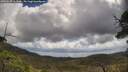 ./images/calvert/fitz-hugh-hecate/20250529/fitz-hugh-hecate20250529_111510M.jpg