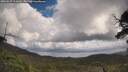 ./images/calvert/fitz-hugh-hecate/20250529/fitz-hugh-hecate20250529_113010M.jpg