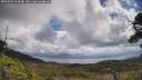 ./images/calvert/fitz-hugh-hecate/20250529/fitz-hugh-hecate20250529_114510M.jpg