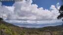 ./images/calvert/fitz-hugh-hecate/20250529/fitz-hugh-hecate20250529_121009M.jpg