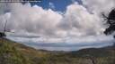 ./images/calvert/fitz-hugh-hecate/20250529/fitz-hugh-hecate20250529_121509M.jpg