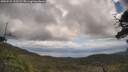 ./images/calvert/fitz-hugh-hecate/20250529/fitz-hugh-hecate20250529_122508M.jpg