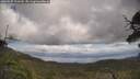 ./images/calvert/fitz-hugh-hecate/20250529/fitz-hugh-hecate20250529_123509M.jpg