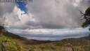 ./images/calvert/fitz-hugh-hecate/20250529/fitz-hugh-hecate20250529_124010M.jpg