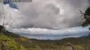 ./images/calvert/fitz-hugh-hecate/20250529/fitz-hugh-hecate20250529_124510M.jpg