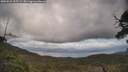 ./images/calvert/fitz-hugh-hecate/20250529/fitz-hugh-hecate20250529_125509M.jpg