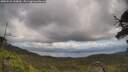 ./images/calvert/fitz-hugh-hecate/20250529/fitz-hugh-hecate20250529_130010M.jpg