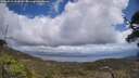./images/calvert/fitz-hugh-hecate/20250529/fitz-hugh-hecate20250529_131008M.jpg