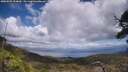 ./images/calvert/fitz-hugh-hecate/20250529/fitz-hugh-hecate20250529_134010M.jpg