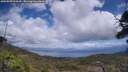 ./images/calvert/fitz-hugh-hecate/20250529/fitz-hugh-hecate20250529_134510M.jpg