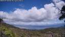 ./images/calvert/fitz-hugh-hecate/20250529/fitz-hugh-hecate20250529_135509M.jpg