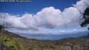 ./images/calvert/fitz-hugh-hecate/20250529/fitz-hugh-hecate20250529_141010M.jpg