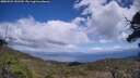 ./images/calvert/fitz-hugh-hecate/20250529/fitz-hugh-hecate20250529_141509M.jpg