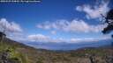 ./images/calvert/fitz-hugh-hecate/20250529/fitz-hugh-hecate20250529_144010M.jpg