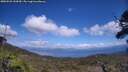 ./images/calvert/fitz-hugh-hecate/20250529/fitz-hugh-hecate20250529_144510M.jpg