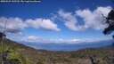 ./images/calvert/fitz-hugh-hecate/20250529/fitz-hugh-hecate20250529_145510M.jpg