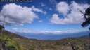 ./images/calvert/fitz-hugh-hecate/20250529/fitz-hugh-hecate20250529_150508M.jpg