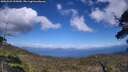 ./images/calvert/fitz-hugh-hecate/20250529/fitz-hugh-hecate20250529_155010M.jpg
