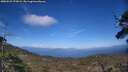 ./images/calvert/fitz-hugh-hecate/20250529/fitz-hugh-hecate20250529_172009M.jpg