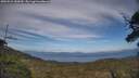 ./images/calvert/fitz-hugh-hecate/20250529/fitz-hugh-hecate20250529_183010M.jpg