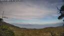 ./images/calvert/fitz-hugh-hecate/20250529/fitz-hugh-hecate20250529_184010M.jpg