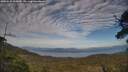 ./images/calvert/fitz-hugh-hecate/20250529/fitz-hugh-hecate20250529_190009M.jpg