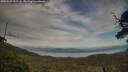./images/calvert/fitz-hugh-hecate/20250529/fitz-hugh-hecate20250529_192508M.jpg