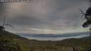 ./images/calvert/fitz-hugh-hecate/20250529/fitz-hugh-hecate20250529_201009M.jpg