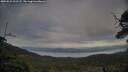 ./images/calvert/fitz-hugh-hecate/20250529/fitz-hugh-hecate20250529_202508M.jpg